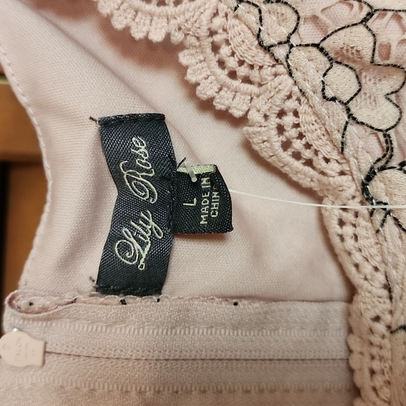 NWT Lily Rose Blush Color Lace Dress SZ L - Picture 3 of 5